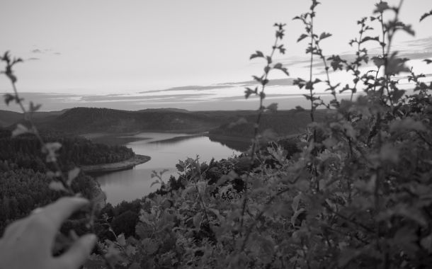 paysage